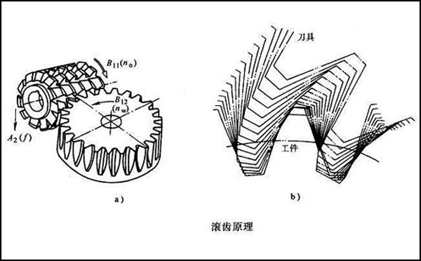 齒輪滾齒加工